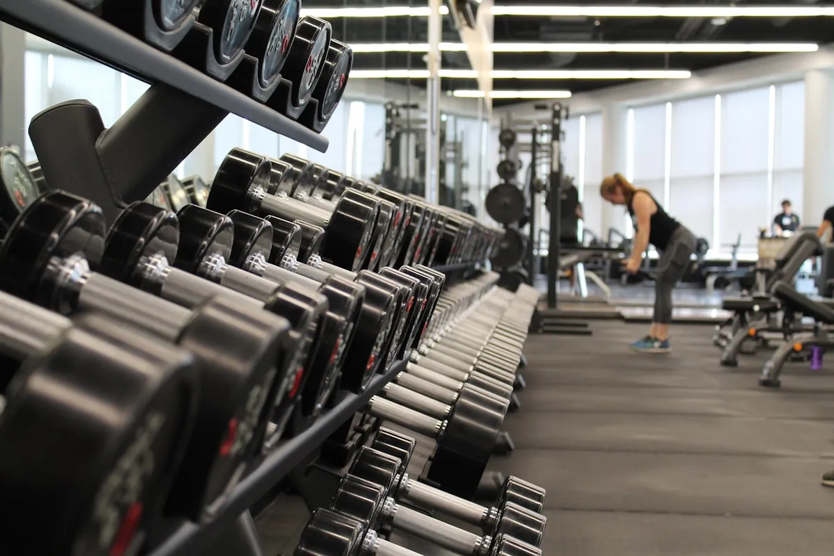 Wooden squat rack blueprint